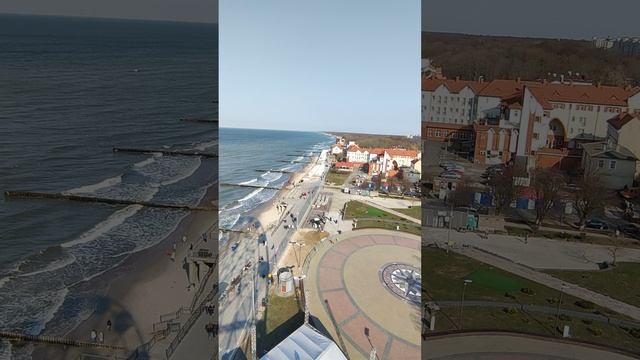 VID_20250322_150445-28