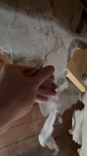 😱😱😱Как разрушается гидроизоляция❓ смотреть онлайн