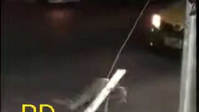 Indian जुगाड़ी Doggy Try not to laugh😎😎😎😎 смотреть онлайн