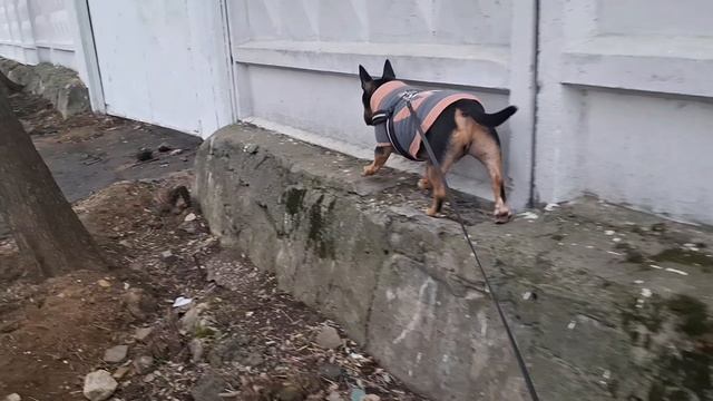 #20 Нашли палочку, чтобы закончить пано