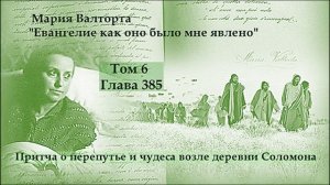 Глава 385. Притча о перепутье и чудеса возле деревни Соломона