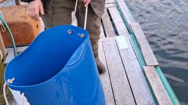 WhatsApp Video 2025-03-28 at 18.16.35 (1) смотреть онлайн