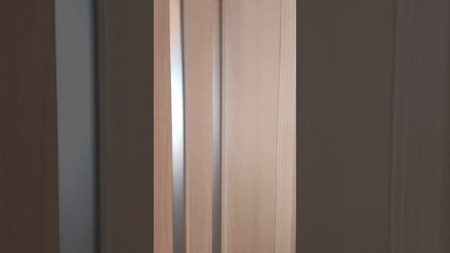 VID_20250326_084919_995.mp4