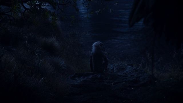 Hans Zimmer - Reflections of Mufasa (Король Лев 2019 OST) смотреть онлайн