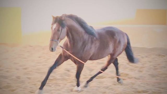 Актуально ли это для Вас сейчас?) смотреть онлайн