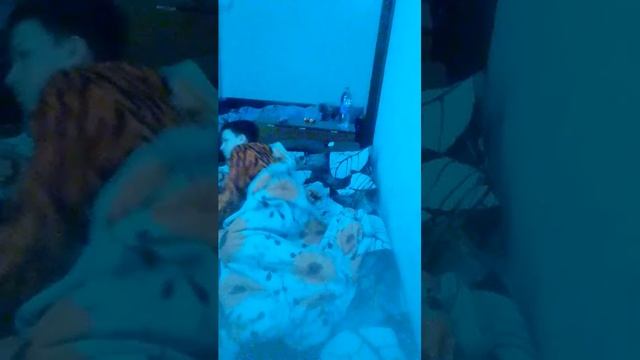 разные смотреть онлайн