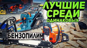 ТРИ ЛОШАДКИ ДЛЯ БЕНЗОПИЛЫ - МАЛО?! Посмотрите, на что они способны.