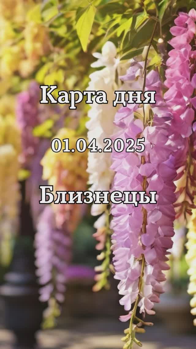 ✨Карта дня 01.04.2025 Близнецы смотреть онлайн