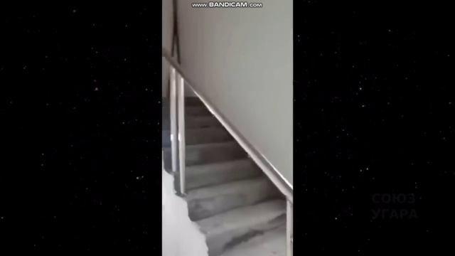 Тренды 2025 год