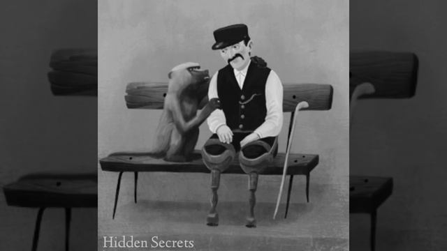 कैसे एक बंदर ने की 9 साल तक सरकारी नौकरी 🤔 ? #shorts #youtubeshorts #short #africanbaboon смотреть онлайн