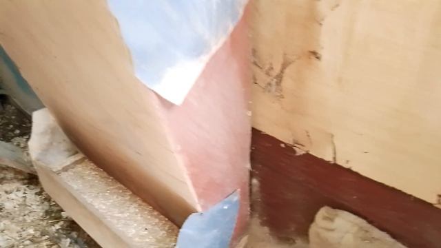 Снова снег(28 марта), гоню курочек на улицу....