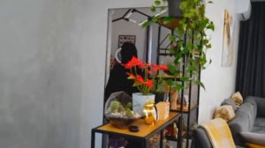 МОЯ ПОДРУГА УМЕРЛА В ИГРЕ КАЛЬМАРА!