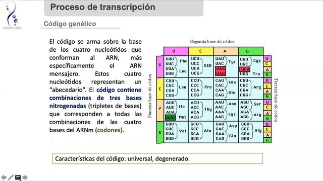 4º Medio -Biología - Clase Online Repetida Profesora Daniela del Rio - Parte 1 смотреть онлайн