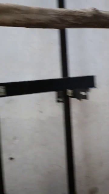 Elevator Guide rail installation смотреть онлайн