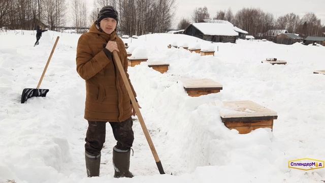 Новости с пасеки🐝