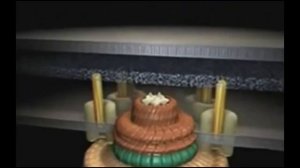 Флагелум, фимбрии и пили | Mикробиологија