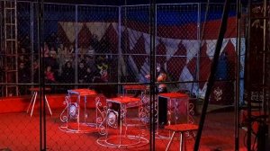 Цирк шапито«Империя Хищников«г.Красногорск.Цирковое представление с Хищниками-15.03.25