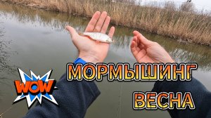 Мормышинг. Весна.