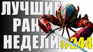 ЛРН выпуск №244 🤪 ДАВИД ПРОТИВ ГОЛИАФА [Лучшие Раки Недели]