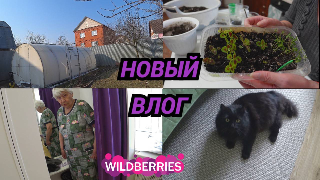 Вымыли теплицу/Рассаживаю колеусы/Пришли в WB, маме заказала халаты. ВЛОГ смотреть онлайн