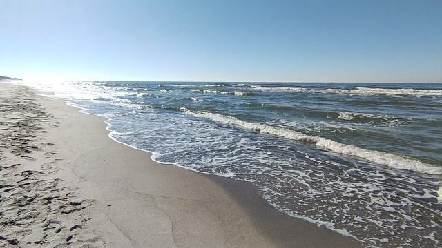 VID_20250320_144014-24