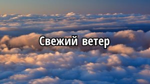 Свежий ветер
