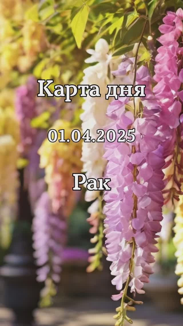 ✨Карта дня 01.04.2025 Рак смотреть онлайн