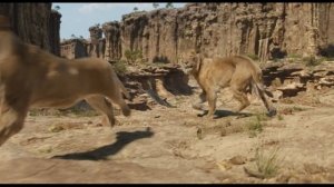 Мы вместе (OST Муфаса 2024)