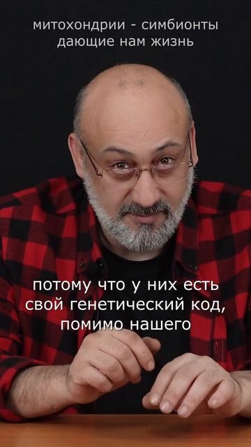 Митохондрии - симбионты, дающие нам жизнь. смотреть онлайн
