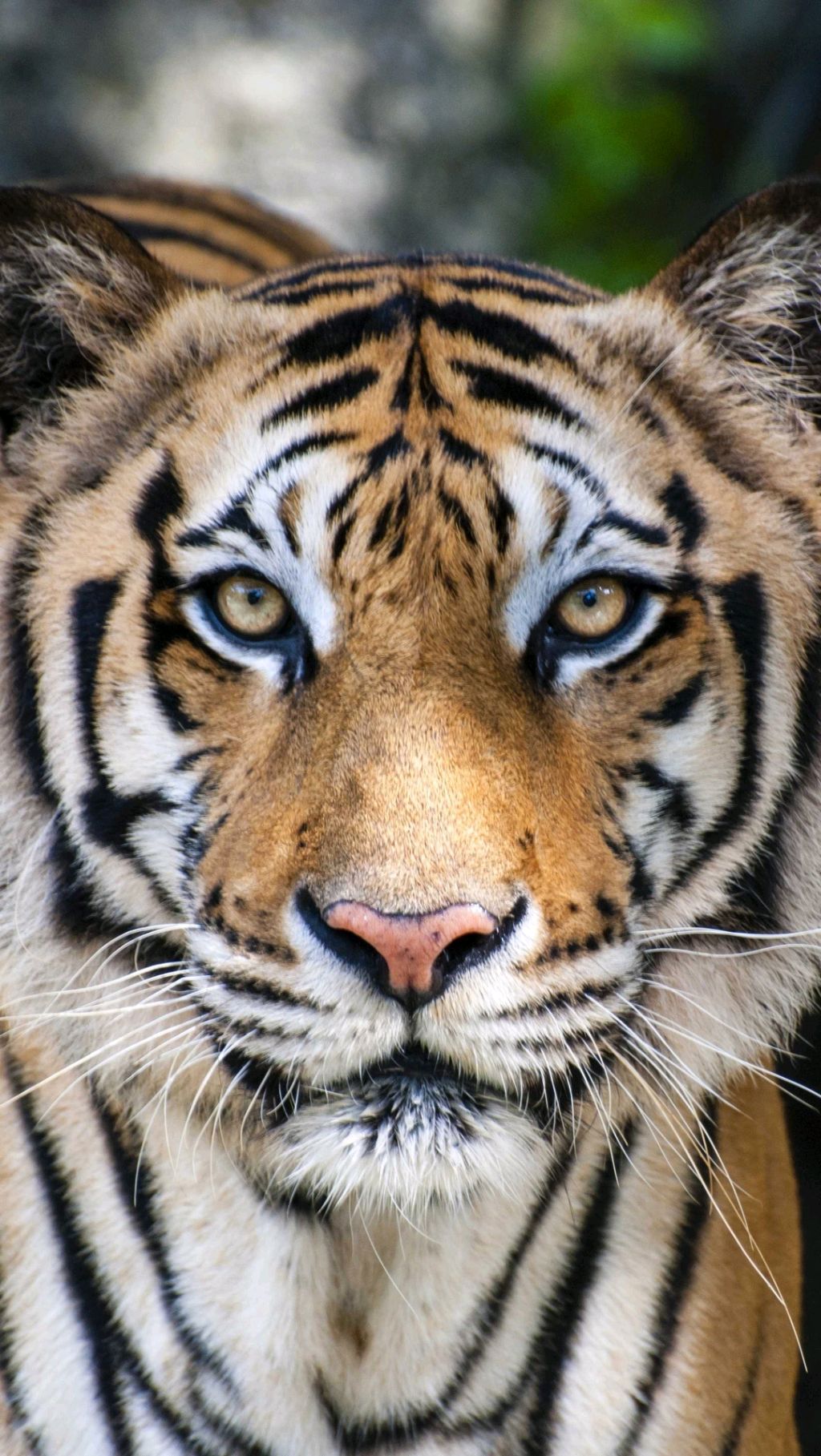 крашусь и собираюсь гулять смотреть онлайн