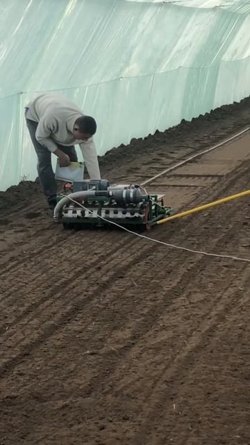 Редиска смотреть онлайн