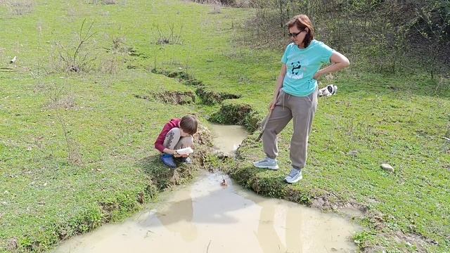 Парнаут, головастики и гонка на кораблях смотреть онлайн