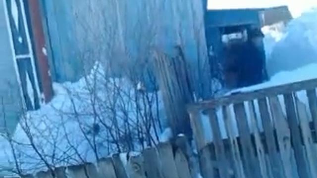 Супер Гена жгёт смотреть онлайн