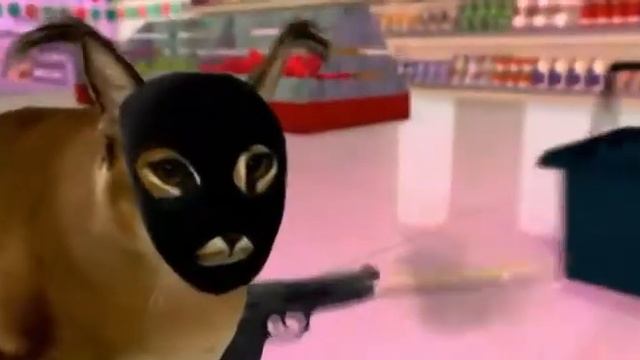 Шлёпа ограбил магазин