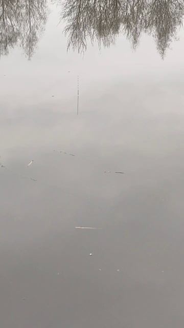 Сил терпеть больше нет! Открываю рыболовный сезон смотреть онлайн