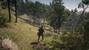 Red Dead Redemption 2 место где можно найти редкую Андалузскую лошадь масти перлино