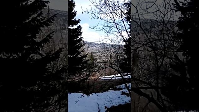 Черемша Алтай смотреть онлайн