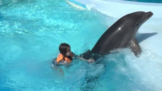 Аню уносит дельфин смотреть онлайн