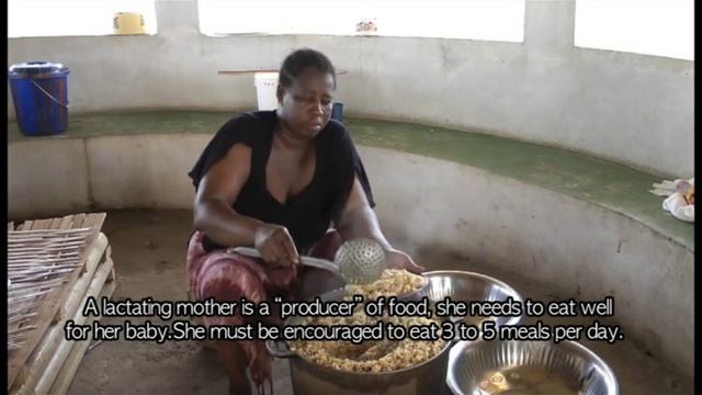 Nutrition Without Borders: Breastfeeding, until 24 months (FULA) . смотреть онлайн