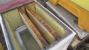 как улучшить весеннее развитие пчел - часть 3 , про кормовой корпус и проставочное дно