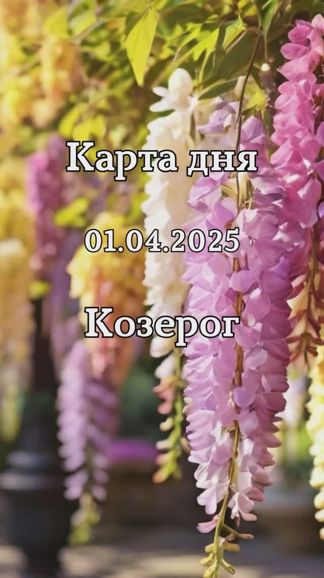 ✨Карта дня 01.04.2025 Козерог смотреть онлайн