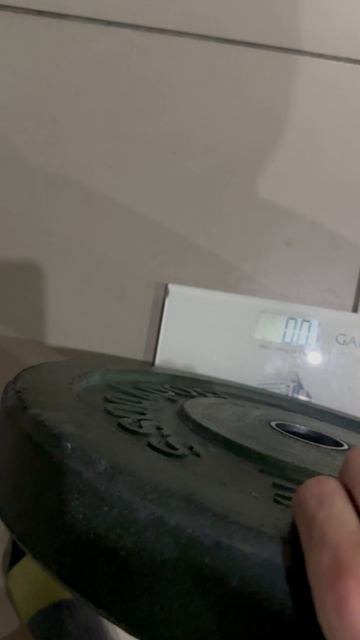 28-03-2025 Взвешивание (финальный этап)