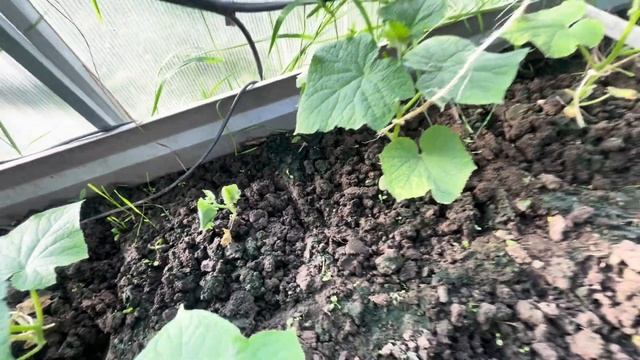 Groundbreaking Gadgets