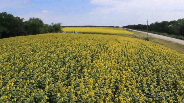 Insta360 4к DJI FPV смотреть онлайн