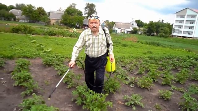 ЗАЩИТА КАРТОФЕЛЯ смотреть онлайн