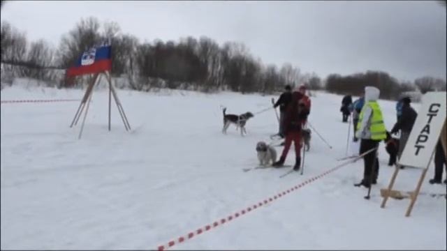 Скиджоринг 2012.mpg смотреть онлайн