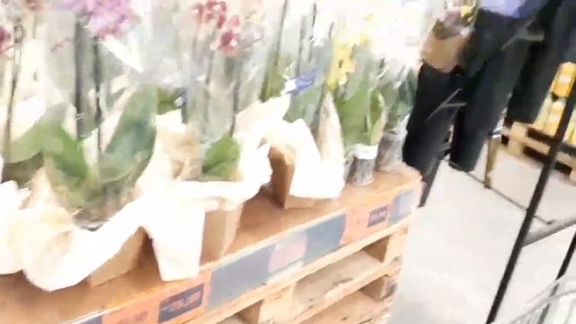 ACHADINHO NO SAM'S CLUB E COMPRAS NO SAM'S E CARREFOUR VEM VER