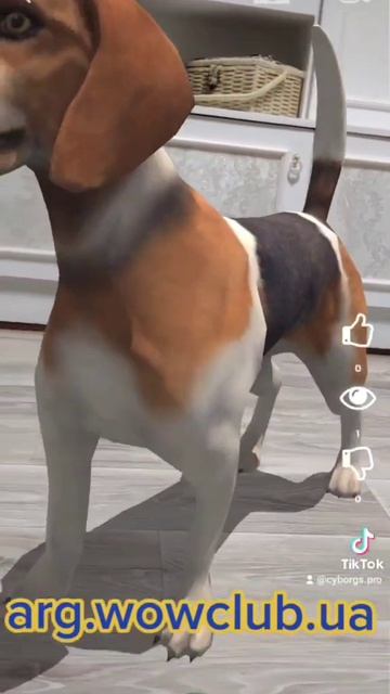 Пес Патрон AR - Мультфильмы 2023 / Dog Patron AR - Cartoons 2023 смотреть онлайн