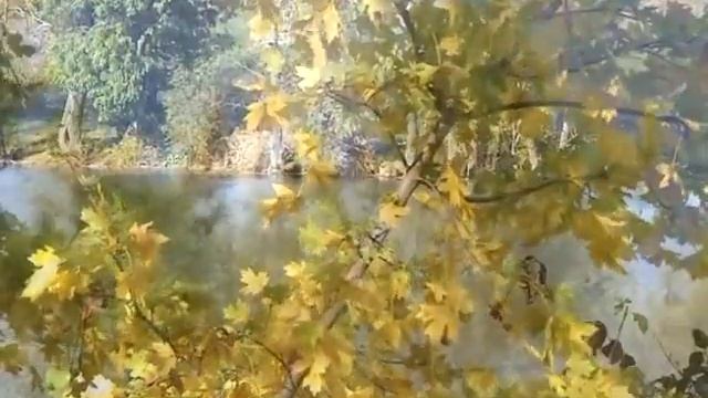 ОЙ ГАРНА Я ГАРНА КАРАОКЕ (мінус) смотреть онлайн