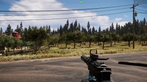 Играем в FAR CRY 5